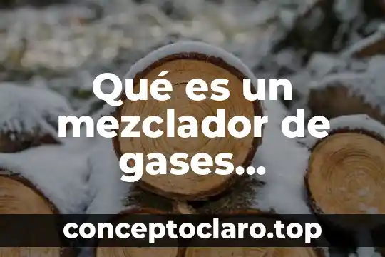 Que es un principio medicina 8 Qué es un mezclador de gases medicina