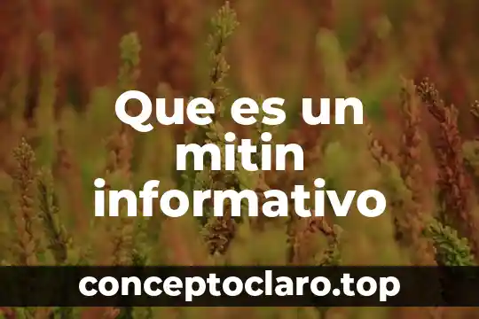 Que es un texto informativo la feria 6 Que es un mitin informativo