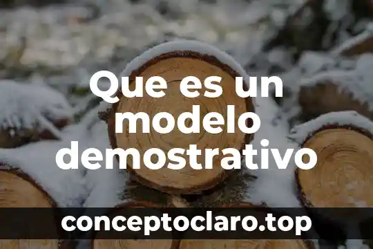 Qué es el modelo de industrialización por sustitución de importaciones 6 Que es un modelo demostrativo