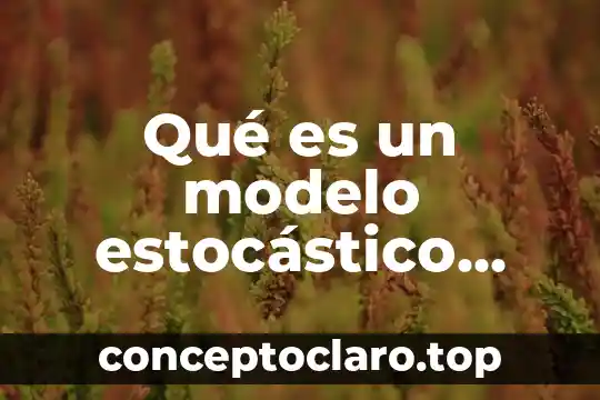 Qué es un modelo estocástico definición