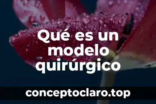 Qué es un modelo quirúrgico