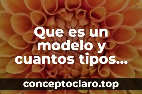 Qué es un curriculum y cuantos tipos existen 5 Que es un modelo y cuantos tipos de modelos existen