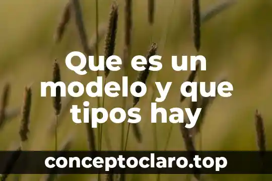 Que es un modelo y que tipos hay
