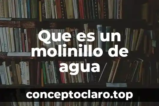 Que es un molinillo de agua