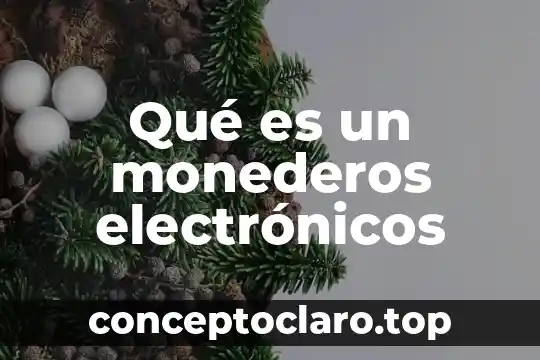 Qué es nomenclatura de los circuitos electrónicos 4 Qué es un monederos electrónicos