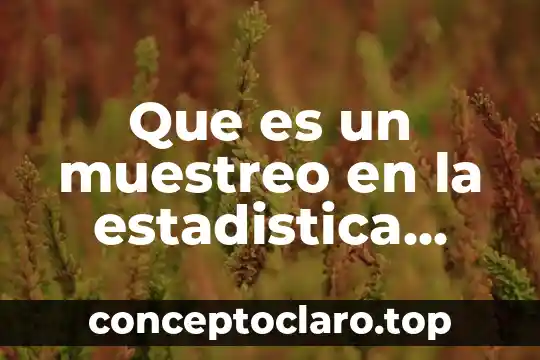 Que es un muestreo en la estadistica inferencial