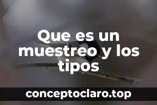Que es un muestreo y los tipos