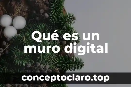 Qué es un muro digital