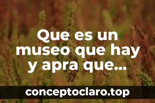 Que es un museo que hay y apra que sirve
