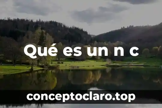 Qué es c antes de un nombre 7 Qué es un n c