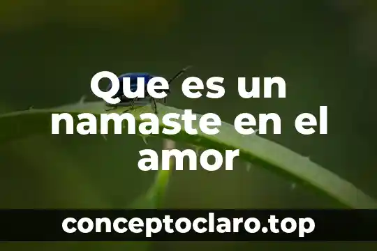 Que es el amor redalyc 4 Que es un namaste en el amor