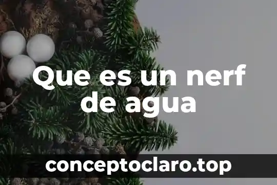 Que es un agua detox 5 Que es un nerf de agua