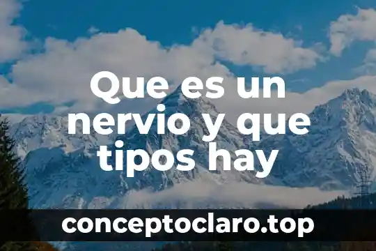 Que es un nervio y que tipos hay