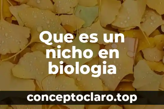 Qué es la fotoscopia en biología 7 Que es un nicho en biologia