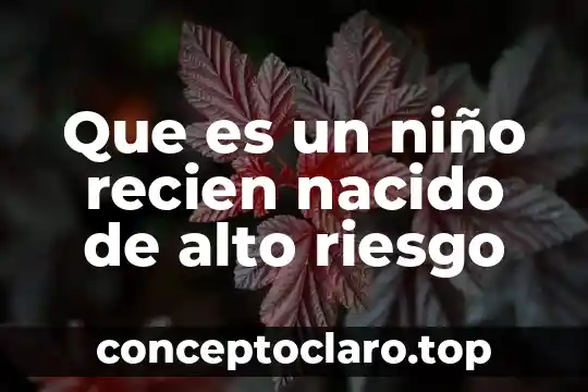 Que es el constructivismo de c s niño 8 Que es un niño recien nacido de alto riesgo