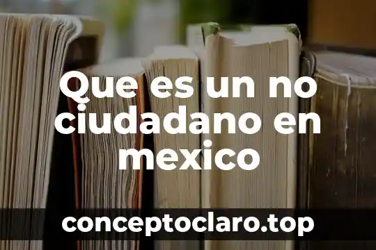 Que es un no ciudadano en mexico