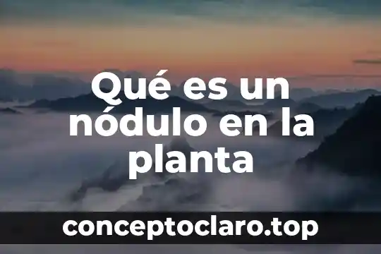 Que es altamisa como planta medicinal 3 Qué es un nódulo en la planta