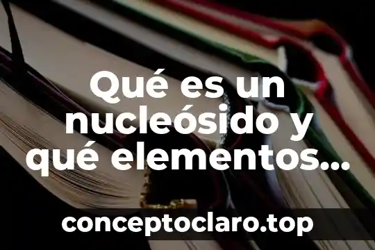 Qué es constelación y qué tipos existen y cómo se forman 4 Qué es un nucleósido y qué elementos lo forman
