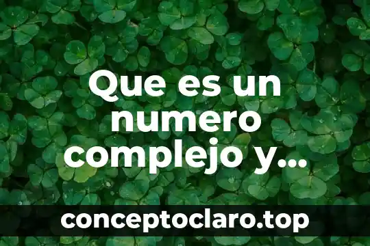 Qué es el número de factura 3 Que es un numero complejo y como se escribe