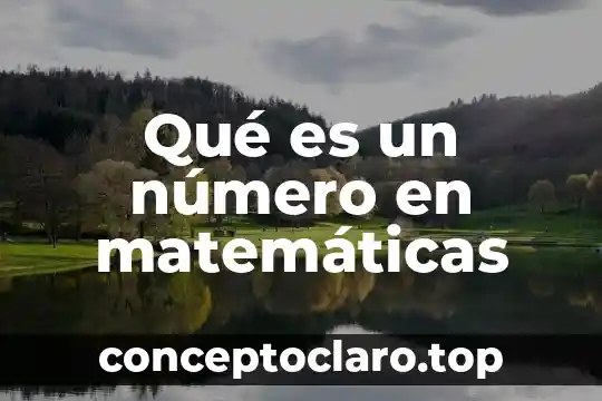¿Qué es un número entero? 6 Qué es un número en matemáticas