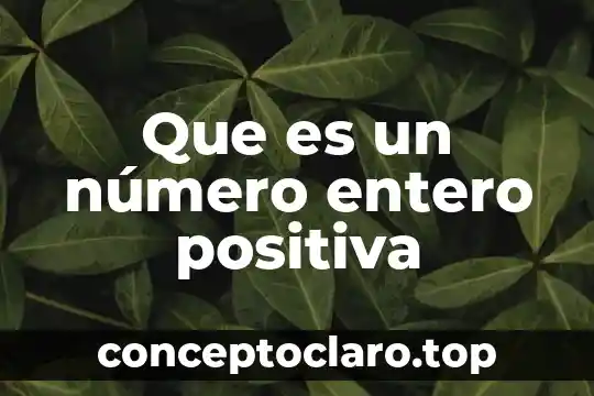 Que es un número entero positiva