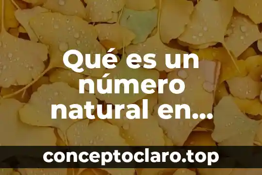 Qué es un número natural en matemáticas