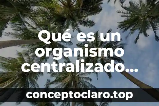 Que es un organismo resultados integrales 7 Qué es un organismo centralizado según