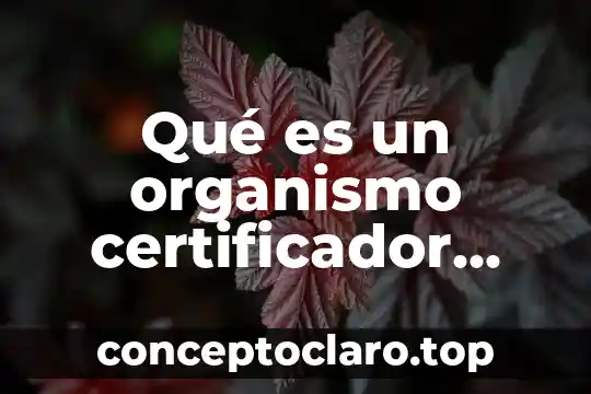 Qué es un organismo certificador primario en equipo