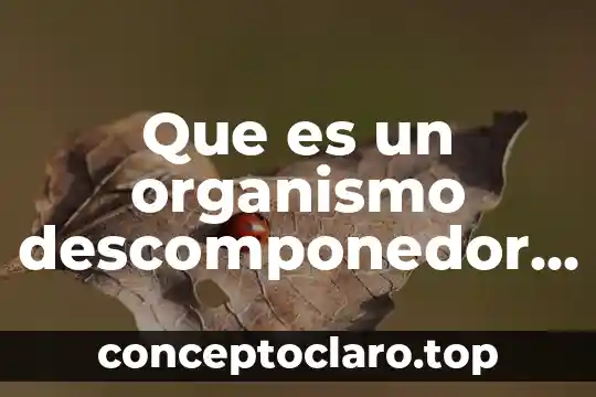 Que es un organismo descomponedor ejemplos