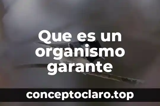 Que es un organismo resultados integrales 6 Que es un organismo garante
