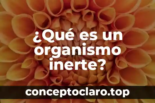 Que es un organismo resultados integrales 8 ¿Qué es un organismo inerte?