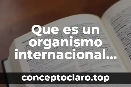 En control que es planta 3 Que es un organismo internacional financiero