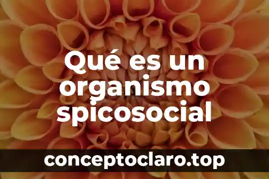 Que es un organismo resultados integrales 4 Qué es un organismo spicosocial