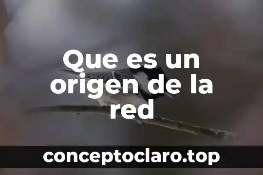 Origen del metro y su significado 4 Que es un origen de la red
