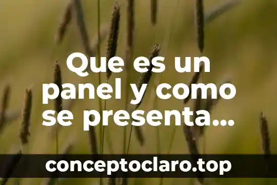 Que es el factor comun en los productos 4 Que es un panel y como se presenta graficamente