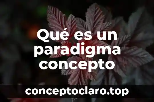 Qué es un paradigma concepto