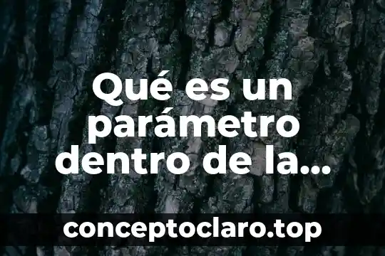 Que es concurrencia en programación 3 Qué es un parámetro dentro de la programación