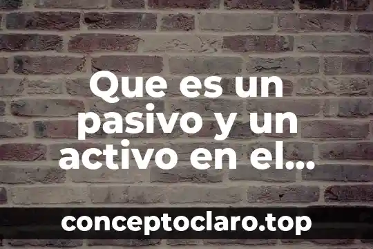 Que es acapital activo 5 Que es un pasivo y un activo en el sexo