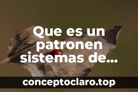 Que es un patronen sistemas de unidades