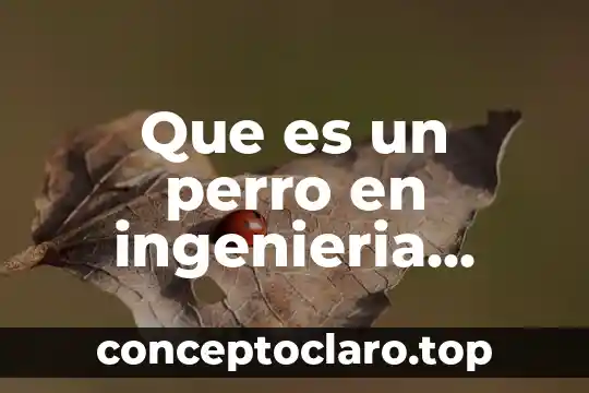 Que es un perro en ingenieria mecanica