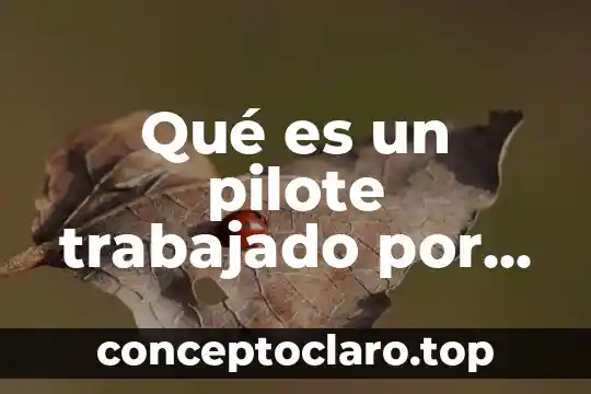 Qué es un pilote trabajado por fuste