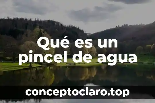 Que es un agua detox 3 Qué es un pincel de agua