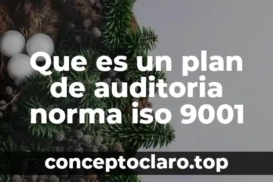 Que es el material as 5 Que es un plan de auditoria norma iso 9001