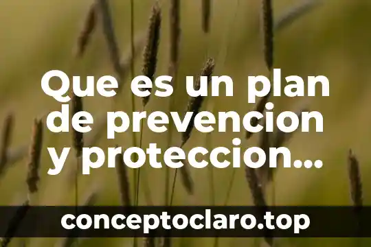Que es un sistema anti incendios 4 Que es un plan de prevencion y proteccion contra incendios