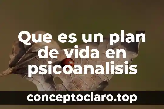 Que es un plan de vida en psicoanalisis