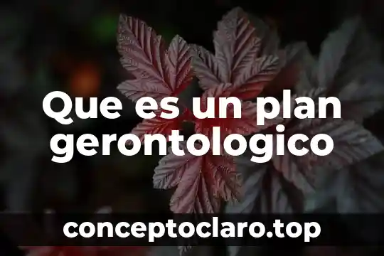 Que es el factor comun en los productos 3 Que es un plan gerontologico