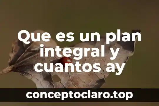 Qué es innovación y cuántos tipos de INPs existen 6 Que es un plan integral y cuantos ay