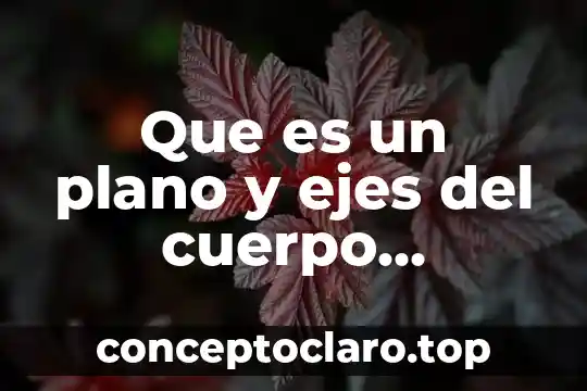 Por que es bella la inteligenca del ser humano 4 Que es un plano y ejes del cuerpo humano