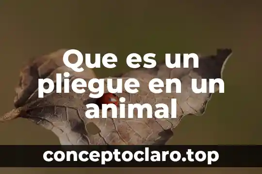 Que es potencia y para que sirve 7 Que es un pliegue en un animal