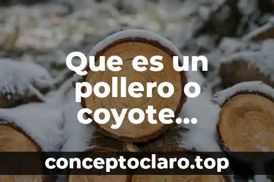 Que es un pollero o coyote definicion